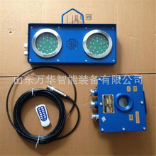 矿用高低水位报警器 井下水仓监测 ZSB127(A)矿用水位报警装置