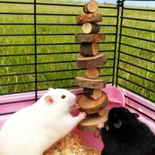 ��������ĥ������؈���m�i�\���O��ľҧ����ҧ�A������ĥ�����