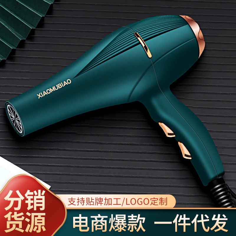 Negative ion hair dryer one piece hair d...