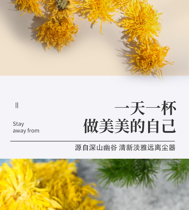Golden Silk Imperial Chrysanthemum Dried Flower Tea 10g Premium Anhui Chrysanthemum preparation