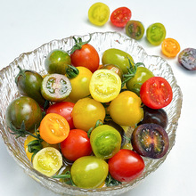 ɽ�|�۹���С���� ���l3/5�����rС�������Sɫ����}Ů���M��