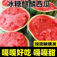 ���a��ֱ�l�����8424����o�����ϡ����rˮ�����������ػݱ���