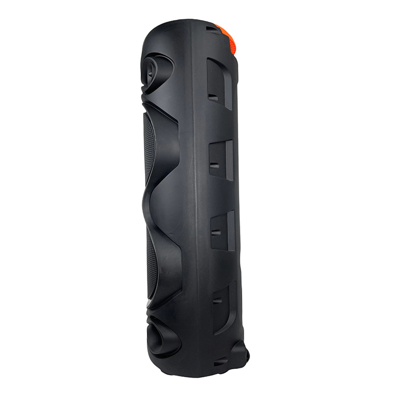 Hot sale transfronterizo doble 10 pulgadas 20W altavoces recargables boda espectáculo de negocios Bluetooth K canción con doble micrófono LED luz de color RTS