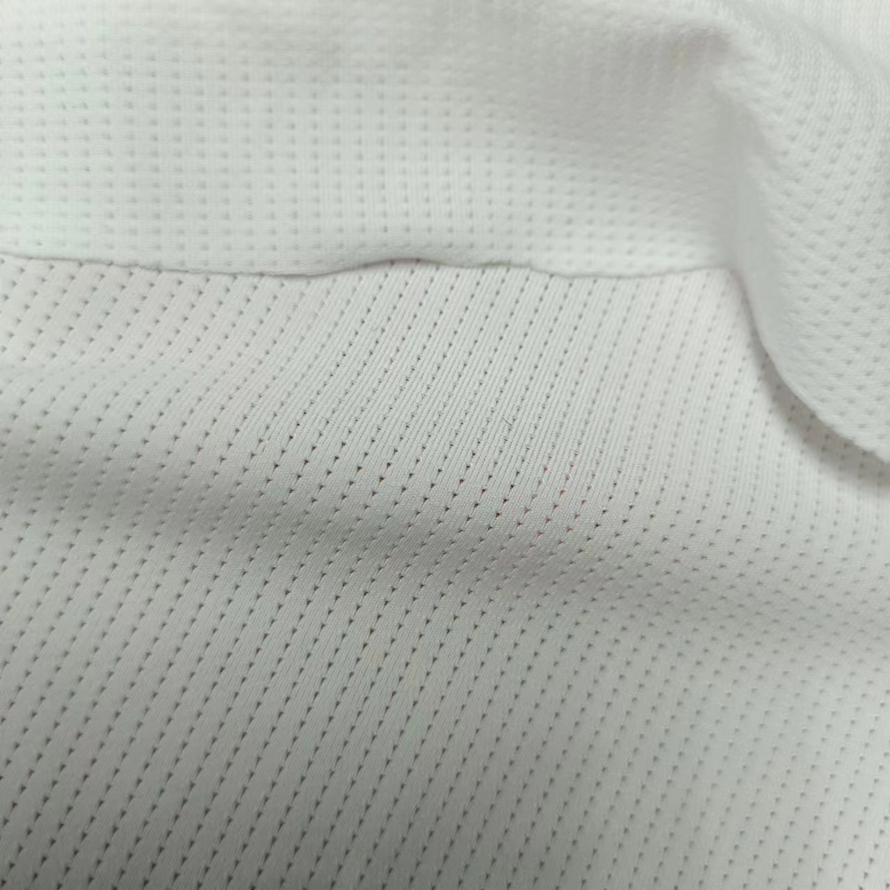 泳衣健身经编150克点子鸟眼布精灵点锦氨网布长袖新款开衫修身女