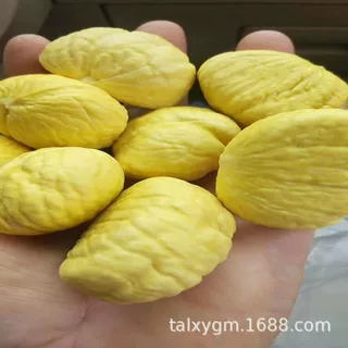厂家批发低价 速冻栗仁 厂家直销包粽子烧菜煲汤做馅料全年供应速