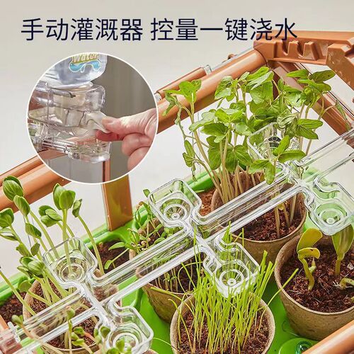 Hottest Selling Children's Planting Sunroom Vegetable Growing Plant Observation Science Experiment Toy Set Student Teaching Aid