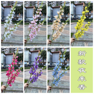 㙉ɫc滨Q 2ҹ SɫLӻYܛbٻl