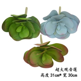 �����^��ɏ���������ƶ���ֲ�ﳬ��̖�^��ɏ��ʯɏʯɏ��ֲ���