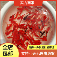 ���~���\��С���~���^�p�~�ͻˮ����~������B���B��ˮ���l