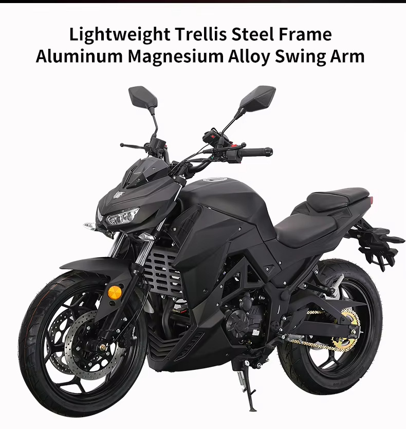 New Xixi Brand New Python Dms Motorcycle Sports Car Large Displacement Adult Cool High-Speed Motorcycle Racing Air-Cooled