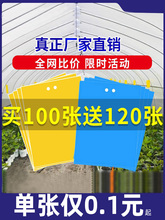 ճ�x���S���p��ճ�x�������E�R�����S�{һ�wɫ�T�x����@ͥԺ