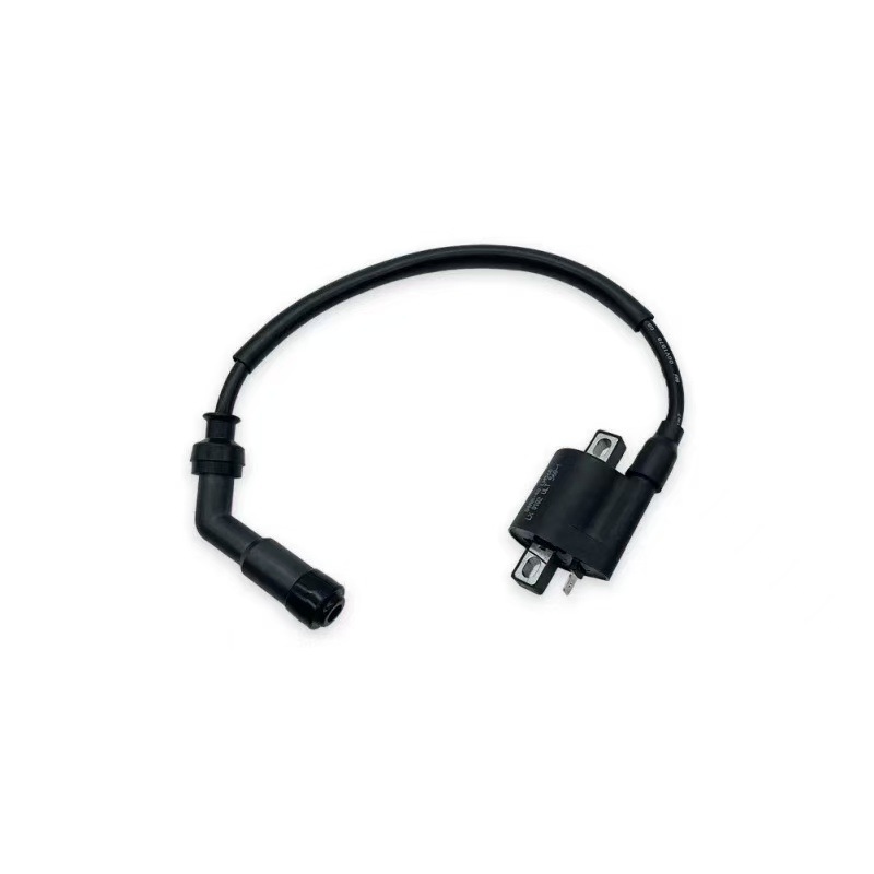 Loncin Yb300H/Yb250R Engine High-Voltage Package Electrical Components Are Suitable for Hengjian S7, Kewei Si Zuma S6