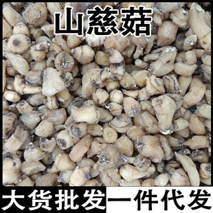 ɽ�ȹ�ë�ȹ������ӈA��ܸɽ�ȹ����l���l