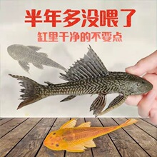 ��̦���~���w�~���~�������坍�����~����B�ğᎧ�~�^�p�~��ˮ�~