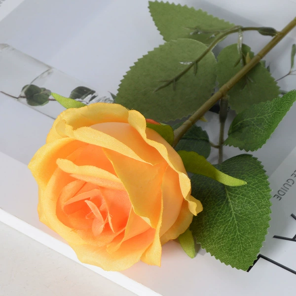 Paris Orange