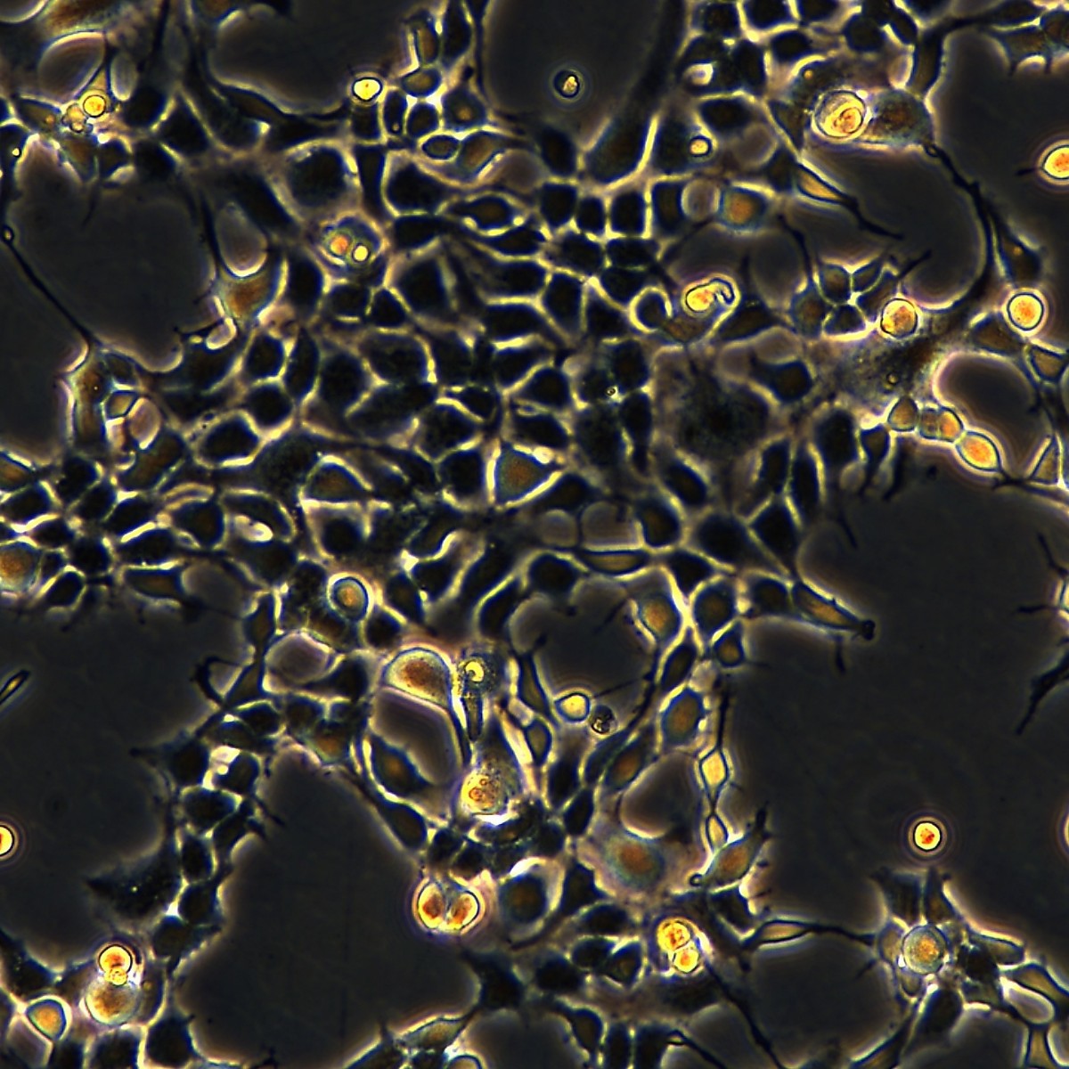 2025-09-18 14:04:09.jpg