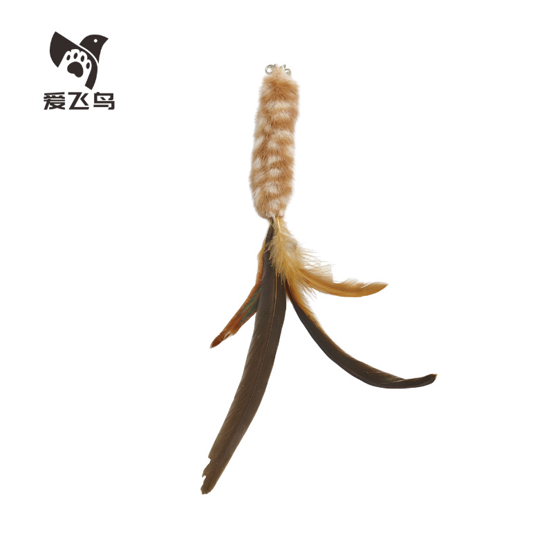 흰색 갈색 긴 수탉 꼬리 깃털 교체 헤드