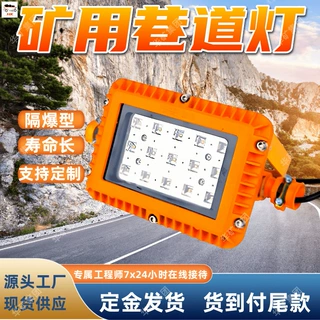 煤矿井下巷道隔爆型LED巷道灯 DGS38/127L(B)矿用隔爆型LED巷道灯
