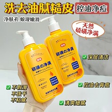 �A�g��ǃ��MҺ�w����ԡҺ 300ml �����坍�������o���w��ˬ�F؛