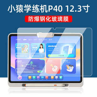 �m��СԳ�W���CP40ƽ��䓻�Ĥ2025��ҽ̙C12.3Ӣ��W���C��ĻĤ