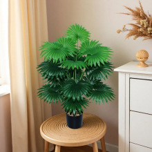 �羳�����ѿ����ȿ��ؙ��~���W�L����Gֲ�쾰�[���ҾӼ�ֲ�����l