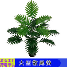 �羳���W����Gֲɢβ���@���쾰���Դ������컨ֲ������b٘�