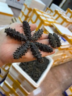 ���B������؛5A���Ŵ̝M���ǵ��ɺ����S��ֱ�N�ɴ�Y�д��B����