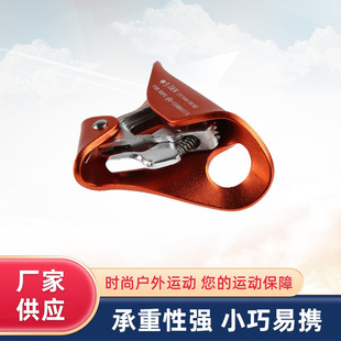 �羳�F؛ ��ʽ������ ������ǰ�������������ҷ������o���ʵ���չ