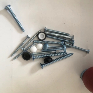 Tapping Screw Cap, Self-Tapping Screw Cap, Pan Head Screw Cap