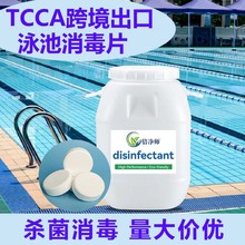 二氯异氰尿酸钠 泳池消毒剂TCCA氯片工业用水杀菌消毒剂跨境出口