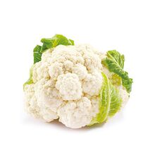 【花菜种子】时尚法国美观进口种植品质产地采收朱顶红双王种球