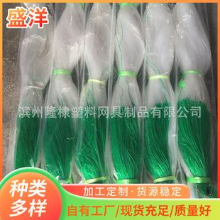 ���������S�ϾW�S�����l ֲ��Nֲ�����W�����S�ϾW  �ɶ� ��