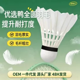 羽毛球