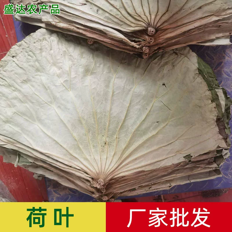 Северо-восточный рисовый мешок с листьями лотоса