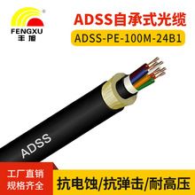 ǽȫ|Գʽ|ADSS 24о|A| ADSS-PE-100M-24B1