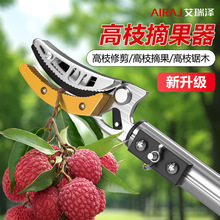 ժˮ��������s�U��ժ��֦������÷�������֦���߿�֦���ü���