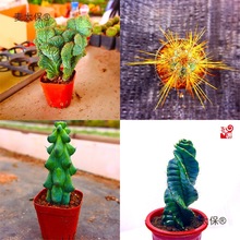 ����ľ ����� ������ �����L ������ ������ ���B��������̫��