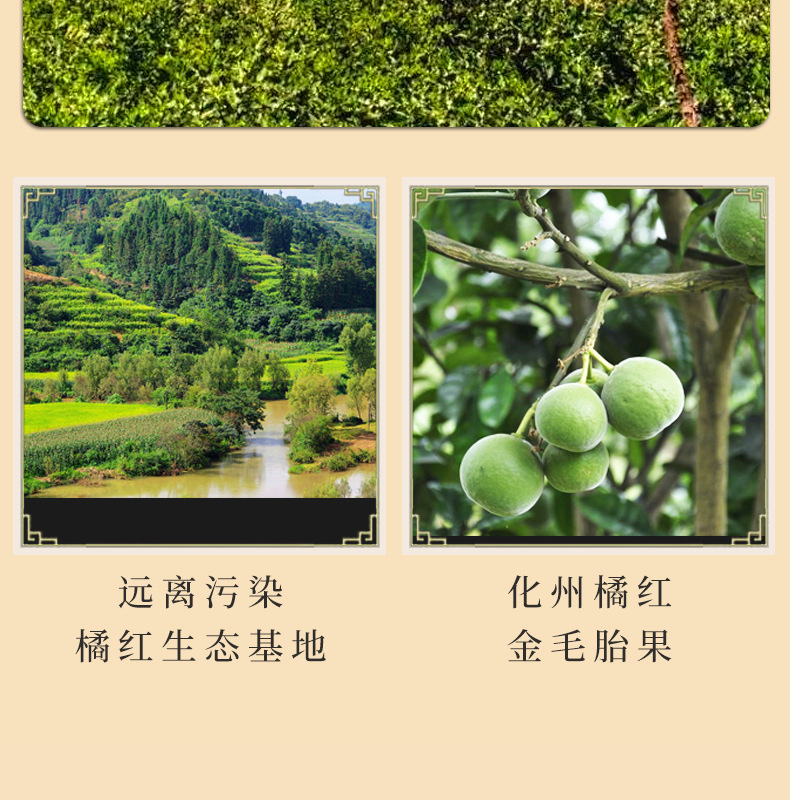 Huazhou Tangerine Peel Slices Hua Ju Hong 100g Jar Aged Fruit Slices Traditional Herbal Tea specifications
