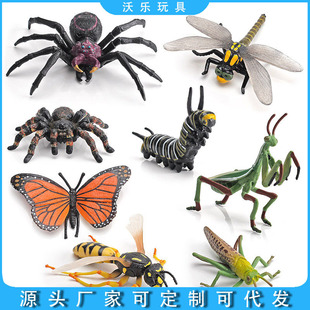 �羳����Ꭷ�������x����[��ģ����ߌ��Ķ�֩����S�����Λ��