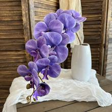 ?9�^�@�y�����m���zƬ�ָмٻ���c���Ż���Y�����û��b�����