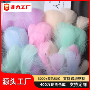 �S�����l�R������ɫС��ë5-8cm�ZëС�h�������������b���