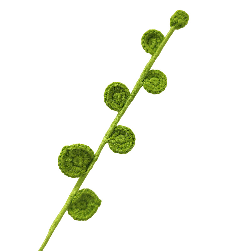 Producto terminado-Hoja redonda eucalipto hierba verde