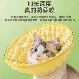猫咪绝育项圈防舔咬亚马逊新品宠物猫狗伊丽莎白圈英短猫颈圈头套