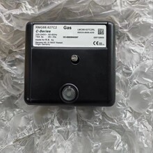 ���l���ݵ�ȼ����������� RMG88.62C2