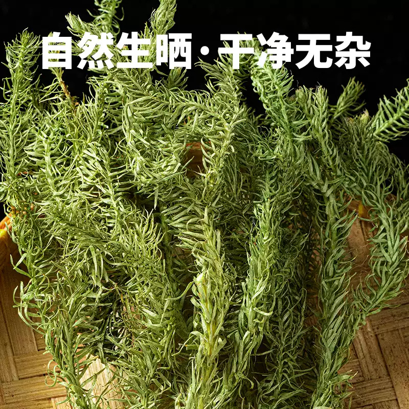 Dried Shen Jin Cao 伸筋草 Lycopodium Herb 500g Natural Sun Dried Sichuan Origin for Decoction and Foot Soak key features