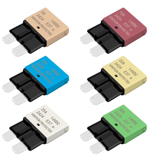 Automatic Reset Car Standard Blade Fuse Kit 5A10A15A20A25A30A Atc/Ato Automatic Reset Car Standard Blade Fuse Kit 5A10A15A20A25A30A Atc/Ato