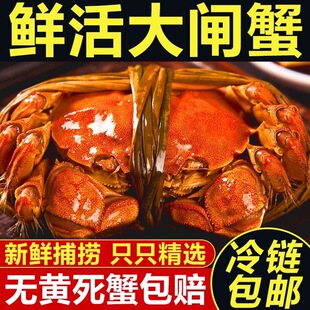 ���K���lз�F؛�r���з�M�S�M��ȫĸ��з���������S���]���l