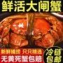 江苏鲜活礼盒装团购公蟹