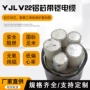 国标工程电力铠装电缆线
