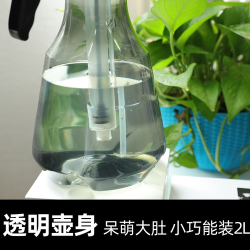 Household gardening watering device, small high-pressure pneumatic sprayer for disinfecting household planters